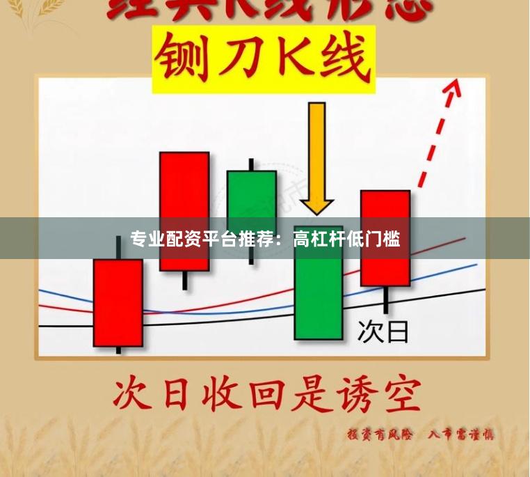 专业配资平台推荐:高杠杆低门槛
