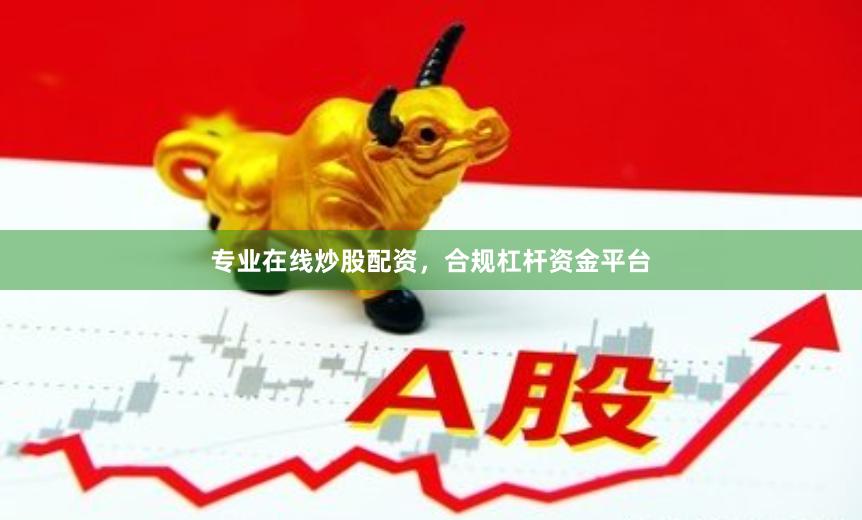 专业在线炒股配资,合规杠杆资金平台