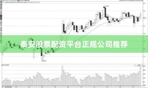 泰安股票配资平台正规公司推荐