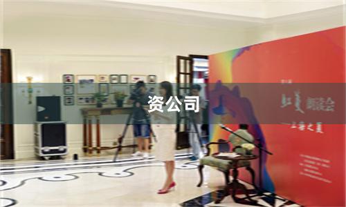 资公司